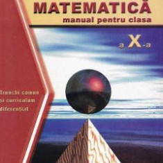 Matematica cls.10 Trunchi Comun + Curriculum Diferentiat - Gabriela Streinu-Cercel, Gabriela Constantinescu