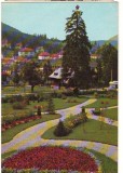 CPIB 19228 CARTE POSTALA - VEDERE DIN PREDEAL, RPR