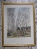 Gravura color,&quot;Aleea cu mesteceni&quot;,semnata,inramata,42x32cm, Peisaje, Guasa, Realism