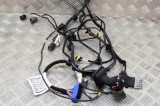 Cablaj ușă st&acirc;nga spate MASERATI QUATTROPORTE VI 2014 OEM: 6700075110,06700075110 13695142
