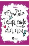 Domnul Terupt cade din nou - Rob Buyea