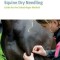 Equine Dry Needling