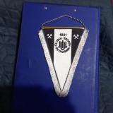 fanion C S Jiul Petrosani