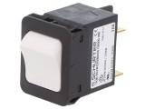 &Icirc;ntrerupător de Supracurent 10A DPST 240VAC 60VDC