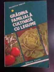 Gradina Familiala Cultivata Cu Legume - Valentin Voican ,546895 foto