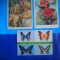 HOPCT LOT NR 404 FLUTURI -FAUNA -3 CARTI POSTALE-CIRCULATE