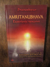 Amritanubhava: Experien?a nemuririi - Jnaneshwar foto