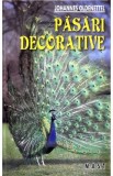 Pasari decorative - Johannes Oldenettel