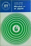 Lucian Ghinea - Microbul. Un gigant