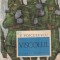 Vasile Voiculescu - Viscolul
