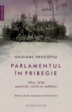 Parlamentul &icirc;n pribegie 1916&ndash;1918. Amintiri, note și impresii - Grigore Procopiu