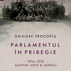 Parlamentul în pribegie 1916–1918. Amintiri, note și impresii - Grigore Procopiu