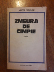 Zmeura de campie - Mircea Nedelciu / R3P2F foto