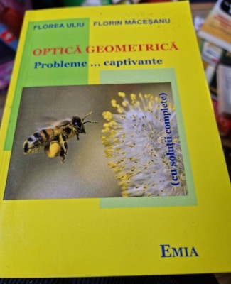 Optica geometrica. Probleme captivante - Florea Uliu foto