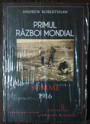 PRIMUL RAZBOI MONDIAL SOMME 1916 - ANDREW ROBERTSHAW foto