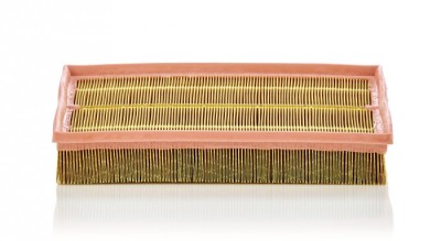 Filtru Aer Mann-Filter C33189 foto