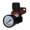 Regulator de aer cu ceas 1/4&rdquo;, Raider 110601