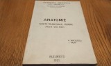 ANATOMIE PERETII TRUNCHIULUI, MEMBRE (Muschi, Vase, Nervi) - A. Ianculescu, I. Pasat - Editura Facultatea de Medicina, 1991, 250 p., Alta editura