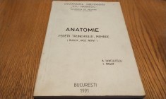 ANATOMIE PERETII TRUNCHIULUI, MEMBRE (Muschi, Vase, Nervi) - A. Ianculescu, I. Pasat - Editura Facultatea de Medicina, 1991, 250 p.
