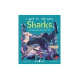 Sharks (a Day in the Life): What Do Great Whites, Hammerheads, and Whale Sharks Get Up to All Day?