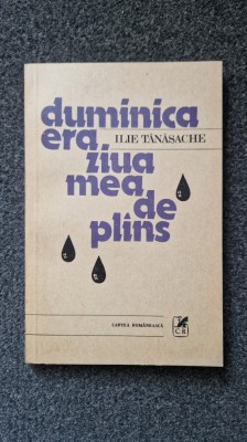 DUMINICA ERA ZIUA MEA DE PLANS - Ilie Tanasache foto
