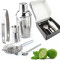 Set pentru cocktail si bauturi, inox, 5 piese, argintiu, Gonga