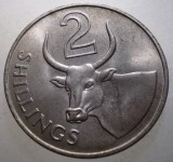 J.084 GAMBIA COLONIE BRITANICA ELIZABETH II 2 SHILLINGS 1966 AUNC