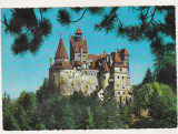 bnk cp Castelul Bran - Regiunea Brasov - Vedere - necirculata - Kruger 1142/2