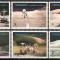 Ajman 1972 Mi 1267/72 MNH - Apollo 15 (IV): Explorarea suprafetei lunare