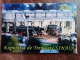 D1 - Magnet frigider - tematica turism - Sinaia - Romania 65