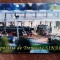 D1 - Magnet frigider - tematica turism - Sinaia - Romania 65