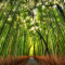 Fototapet Calatorie in padurea de bambus, 250 x 150 cm