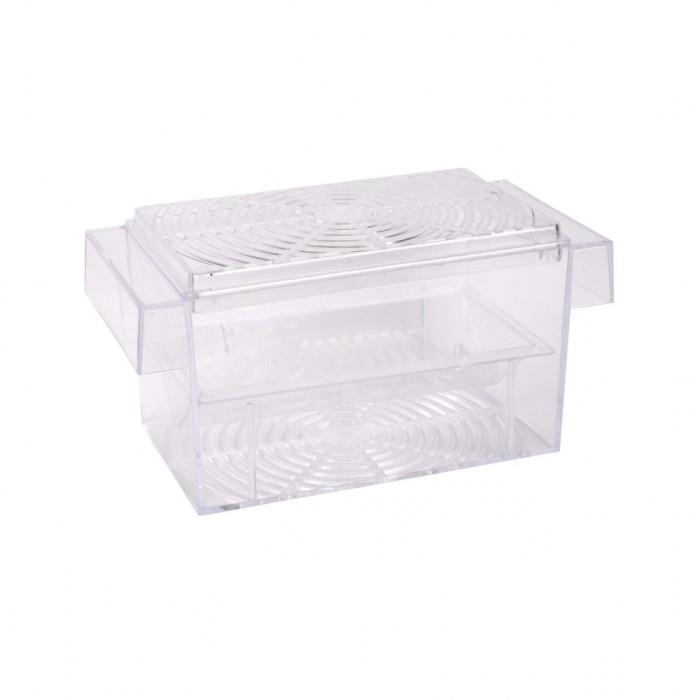 MATERNITATE PENTRU PESTI FLAMINGO GUPPY