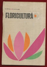 Amelia Militiu, Natalia Ailincai &quot;Floricultura&quot; - 1967