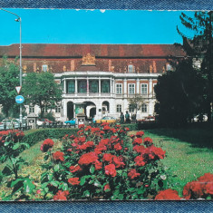 262 - Cluj-Napoca - Muzeul de arta / Palatul Banffy / carte postala