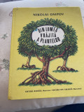 Din lumea vrajita a plantelor - Nikolai Osipov 1988 cartonata R11