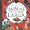 Animale din lumea larga