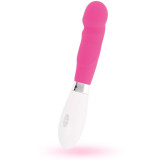 Vibrator Paul Roz Glossy