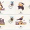!!! LESOTHO - LOT 4 FDC VULTURUL BARBOS - 1986