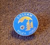 Insigna - &quot;SALVAM&quot; VALEA JIULUI