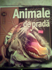 Enciclopedie Animale de prada + CADOU foto