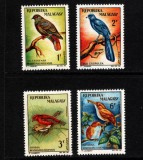 Madagascar 1963 - Păsări, serie neuzata