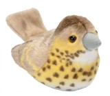 Pasare cu sunet Sturz cantator - SONG THRUSH, Wild Republic