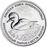 Transnistria 1 Rouble 2023 (Rata Pochard) 22 mm - KM-New UNC !!!