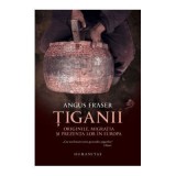 Tiganii. Originile, migratia si prezenta lor in Europa - Angus Fraser