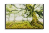 Mauro Ferretti Pictura Pe Panza, Lacuita, Cu Rama, Padure Cm 90X4X58 | Aosom Romania