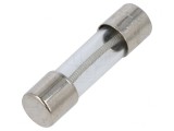 Siguranță &Icirc;nt&acirc;rziere 500mA 250VAC 5x20mm Cupru, SCHURTER