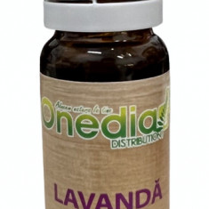 Ulei esential de lavanda, 10ml, Adams Vision