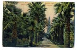 AD 923 C. P. VECHE - JARDIN ROYAL ATHENES - GRECIA