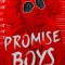 Promise Boys